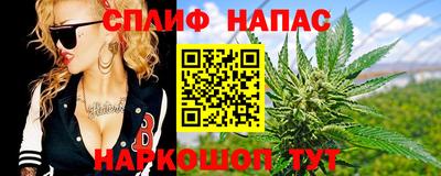 хмурый Сланцы