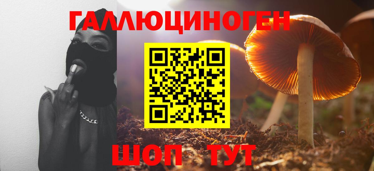 Галлюциногенные грибы мухоморы Отрадный